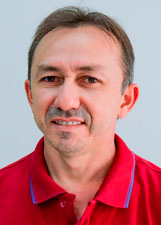BERGUINHO DA MADEIREIRA