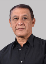 PIRSON DA VILA REGINA