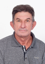 NELSON ALEXANDRINO