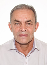 ALCIDES PINGO