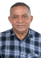 TATU BOIADEIRO