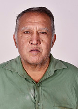 GORDO