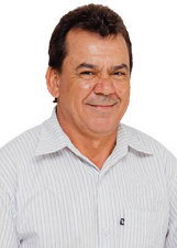 ARZINO VERDURA