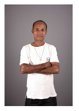 ABELHA