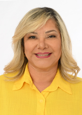 CIDA CONSELHEIRA