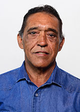 CELINO