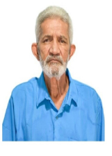 VIEGAS