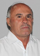 LEI DO ÔNIBUS