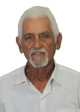 JOÃO ABELHA