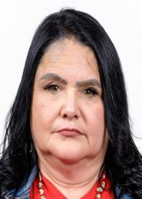 TEREZINHA GOMES