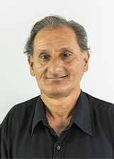 LAERTE PINTOR