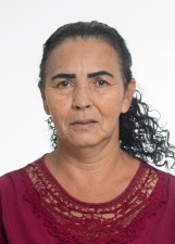 ROSA BALAEIRA