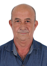 AMADEUS BORGES