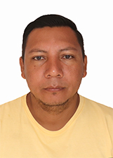 ARTEMÍZIO GUERREIRO