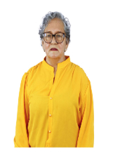 PROFESSORA TEREZINHA 