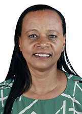 PROFESSORA ELISETE
