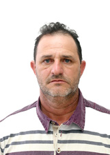 ALDAIR PERIN