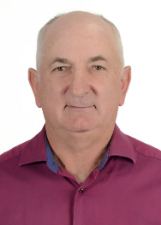 GELSI