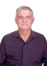 ALVARO BELLINI