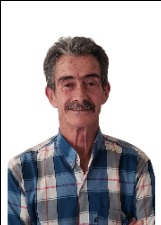 FORMIGA