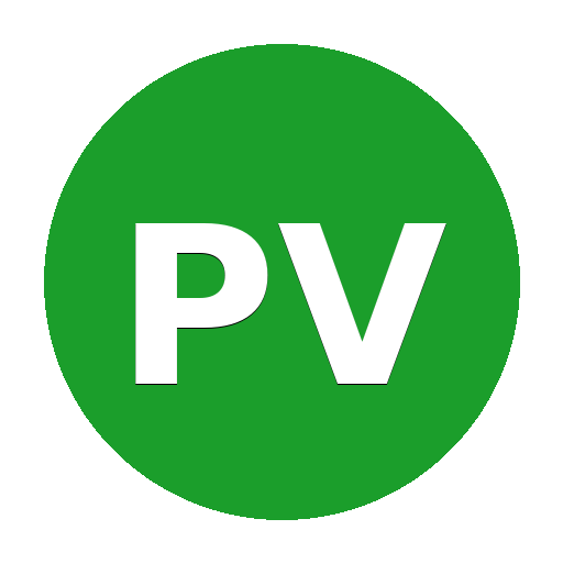 PARTIDO VERDE